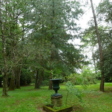 Bed and Breakfast Le Pre De Bonhomme Le Mazeau Exterior foto